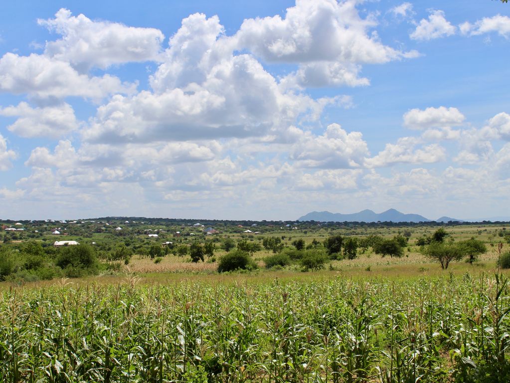 Tanzaniaanse landschappen